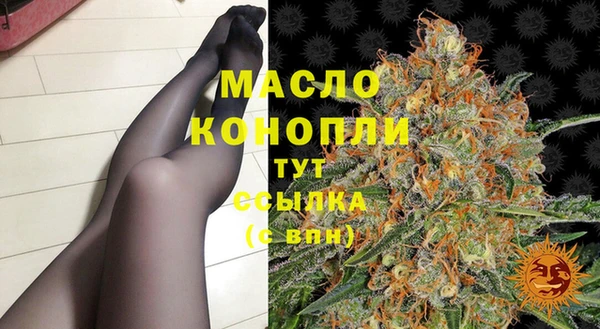 молекула духа Ладушкин