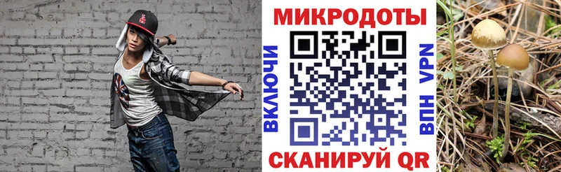 Псилоцибиновые грибы GOLDEN TEACHER  купить наркоту  Бологое 